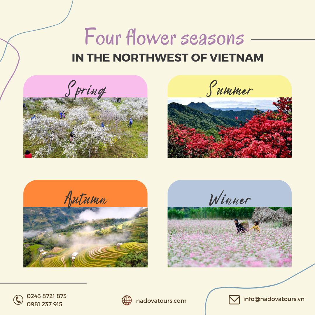 Four flower seasons in the Northwest of Vietnam